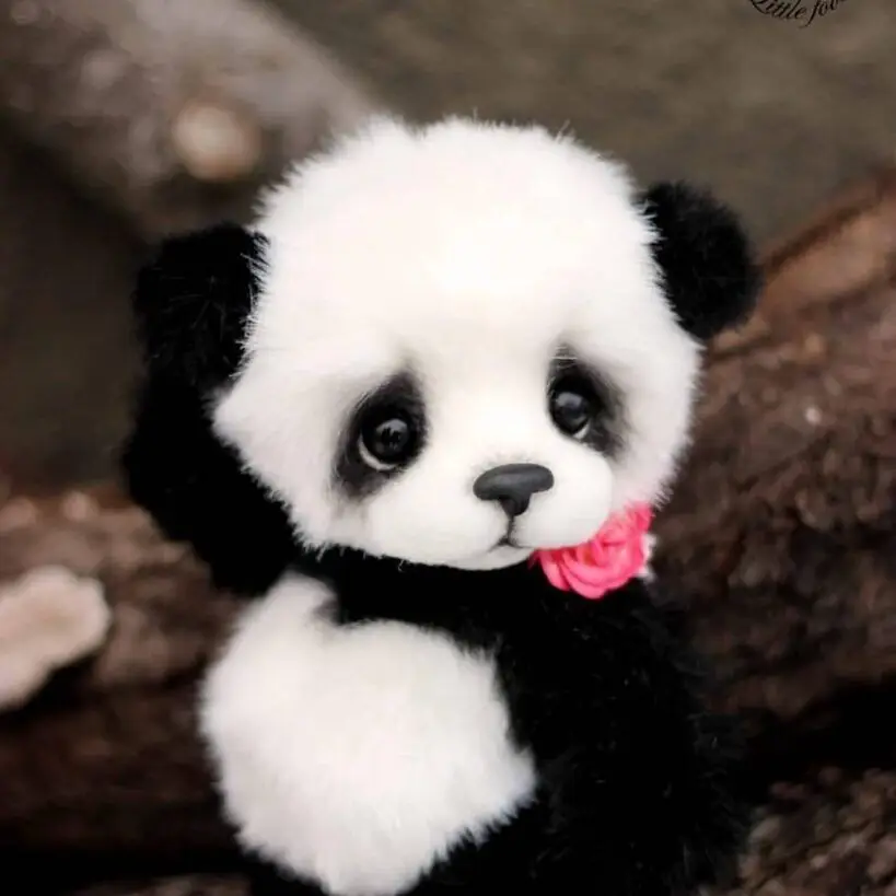 cute whatsapp dp cute whatsapp dp
